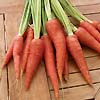 Carrots Attomic Red 